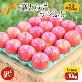 【ふるさと納税】【 1月発送 】 糖度13度以上 訳あり品 家庭用 葉とらず サンふじ 約 10kg 【 青森りんご 】 果物 フルーツ デザート 食後 青森県産 産地直送　お届け：2027年1月中
