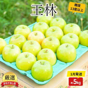 【ふるさと納税】りんご 【1月発送】 糖度13度以上 おもてなし用 家庭用 王林 約 5kg 【 青森りんご 果物 フルーツ デザート 食後 青森県産 産地直送 贈り物 】 お届け:2026年1月20日頃〜2026年