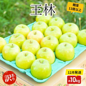 【ふるさと納税】りんご【12月発送】糖度13度以上訳あり品 家庭用王林 約10kg【青森りんご】 お届け:2025年12月20日頃〜2025年12月27日