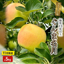 【ふるさと納税】りんご【11月発送】糖度13度以上 ぐんま名月 おもてなし用 家庭用 約5kg 【青森りんご】　お届け：2026年11月中
