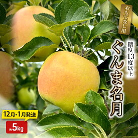 【ふるさと納税】りんご【12月・1月発送】糖度13度以上 ぐんま名月 おもてなし用 家庭用 約5kg【青森りんご】　お届け：2026年12月上旬～2027年1月末