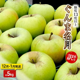 【ふるさと納税】りんご【12月・1月発送】糖度13度以上 訳あり品 家庭用 ぐんま名月 約5kg【青森りんご】　お届け：2026年12月上旬～2027年1月末