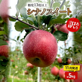 【ふるさと納税】りんご【11月発送】糖度13度以上 訳あり品 家庭用 シナノスイート 約5kg【青森りんご】　お届け：2026年11月中