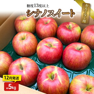 【ふるさと納税】りんご【12月発送】糖度13度以上 シナノスイート おもてなし用 家庭用 約5kg【青森りんご】 お届け:2025年12月20日頃〜2025年12月27日