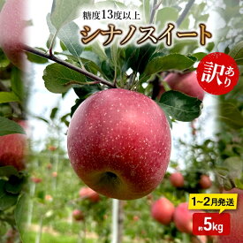 【ふるさと納税】りんご【1月～2月順次発送】糖度13度以上 訳あり品 家庭用 シナノスイート 約5kg【青森りんご】　お届け：2027年1月上旬～2027年2月末