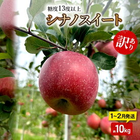 【ふるさと納税】りんご【1月～2月順次発送】糖度13度以上 訳あり品 家庭用 シナノスイート 約10kg【青森りんご】　お届け：2027年1月上旬～2027年2月末