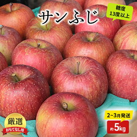 【ふるさと納税】りんご【2月～3月発送】糖度13度以上 おもてなし用 家庭用 サンふじ 約5kg【青森りんご】果物類 フルーツ 林檎 リンゴ 板柳町 青森県 おやつ デザート　お届け：2026年2月20日頃～2026年2月28日、2026年3月20日頃～3月31日