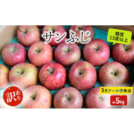 【ふるさと納税】りんご【3月クール便発送】糖度13度以上 訳あり品 家庭用 サンふじ 約5kg【青森りんご】果物類 フルーツ 林檎 リンゴ 板柳町 青森県 おやつ デザート　お届け：2027年3月中