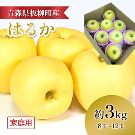 【ふるさと納税】【高級りんご・はるか】家庭用/はるか/約3kg　青森県　りんご　リンゴ　林檎　フルーツ　くだもの　果物　お届け：2026年12月中旬～12月下旬まで