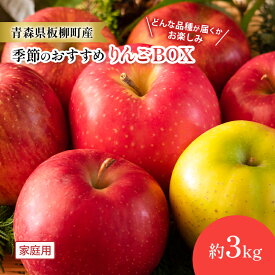 【ふるさと納税】【どんな品種が届くかお楽しみ】季節のおすすめりんごBOX/家庭用/詰め合わせ/約3kg　青森県　りんご　リンゴ　林檎　フルーツ　くだもの　果物　お届け：2025年9月下旬～2026年1月下旬まで