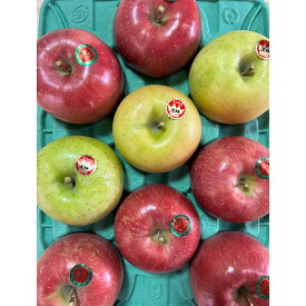 【ふるさと納税】青森県津軽のりんご 「サンふじ・王林」秀品 1段(3kg箱)　お届け：2025年11月下旬～2026年1月末まで