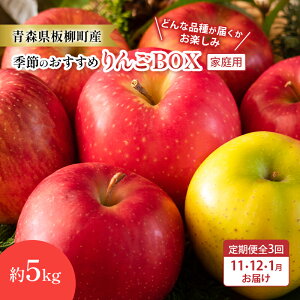 【ふるさと納税】【定期購入3回】【どんな品種が届くかお楽しみ】季節のおすすめりんごBOX/家庭用/詰め合わせ/11月・12月・1月/約5kg 青森県 りんご リンゴ 林檎 フルーツ くだもの 果物 お