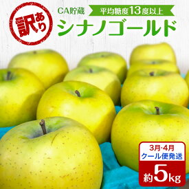 【ふるさと納税】りんご 【3月・4月クール便発送】 平均糖度13度以上 訳あり品 家庭用 CA貯蔵 シナノゴールド 約 5kg 【 青森りんご 】 フルーツ リンゴ 青森県 家庭用 ジューシー　お届け：2027年3月上旬～4月末