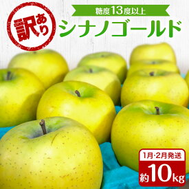 【ふるさと納税】りんご 【1月・2月発送】 糖度13度以上 訳あり品 家庭用 シナノゴールド 約 10kg 【 青森りんご 果物 フルーツ デザート 食後 青森県産 産地直送 】　お届け：2027年2月中