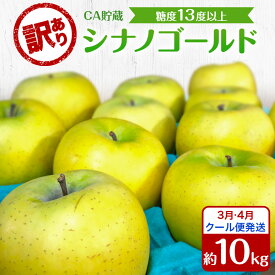 【ふるさと納税】りんご 【3月・4月クール便発送】 糖度13度以上 訳あり品 家庭用 CA貯蔵 シナノゴールド 約 10kg 【 青森りんご 果物 フルーツ デザート 食後 青森県産 産地直送 贈り物 】　お届け：2027年3月上旬～4月末