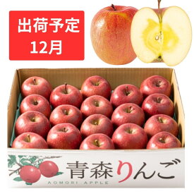 【ふるさと納税】12月 訳あり 家庭用 蜜入りサンふじ 約5kg【青森りんご・マルコウアップル】　【果物類・林檎・りんご・リンゴ】　お届け：2024年12月1日～2024年12月30日