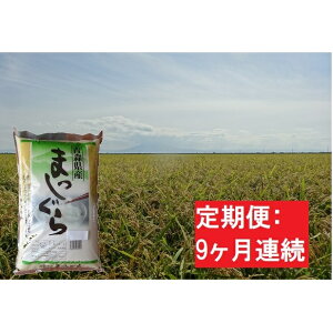 ふるさと納税 米 10kgの人気商品 通販 価格比較 価格 Com ふるさと納税 米 10kgの人気商品 通販 価格比較 価格 Com