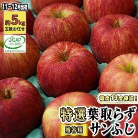 【ふるさと納税】11～12月発送【 糖度保証 】 贈答用 葉取らず サンふじ 約 5kg 【 特選 】鶴翔りんごGAP部会 青森県産 津軽産 リンゴ 林檎 果物類 高糖度 ギフト 　お届け：2025年11月20日～2025年12月25日