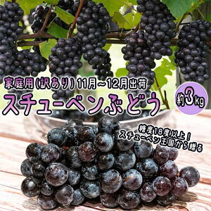 yӂ邳Ɣ[Łz11`12 ÌyԂǂ Gi X`[x Ԃǂ  3kg 󂠂 ƒp y XԂǂ XߓcY 11 12 ʕ t[c |tFm[ Â x  @͂