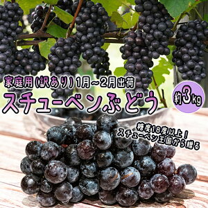yӂ邳Ɣ[Łz1`2 ÌyԂǂ Gi X`[x Ԃǂ  3kg 󂠂 ƒp y XԂǂ XߓcY 11 12 ʕ t[c |tFm[ Â x  @͂