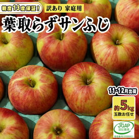【ふるさと納税】11～12月発送【 糖度保証 】家庭用 葉取らず サンふじ 約 5kg【 訳あり 】鶴翔りんごGAP部会 青森県産 津軽産 リンゴ 林檎 果物 フルーツ デザート 甘味 酸味 食感 　お届け：2025年11月20日～2025年12月25日