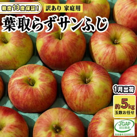 【ふるさと納税】1月発送【 糖度保証 】家庭用 葉取らず サンふじ 約 5kg【 訳あり 】鶴翔りんごGAP部会 青森県産 津軽産 リンゴ 林檎 果物 フルーツ デザート 甘味　お届け：2026年1月10日～2026年1月25日