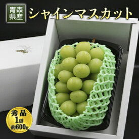 【ふるさと納税】青森県産 シャインマスカット 秀品 1房 約600g 果物 ぶどう フルーツ 豊かな甘み 種無し 皮ごと 大粒 化粧箱入り デザート 　お届け：2025年9月下旬～2025年12月中旬