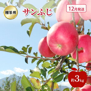 yӂ邳Ɣ[Łz y 12 z p Tӂ  3kg@͂F2025N121`2025N1226
