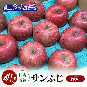 yӂ邳Ɣ[Łz y2-3N[֔zz CA 󂠂 Tӂ  5kg S ʕ A X ߓc@͂F2026N224`2026N319