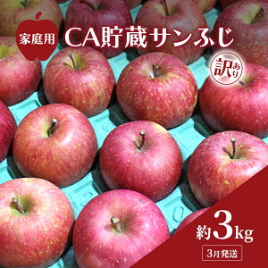 yӂ邳Ɣ[Łz3 ƒp 󂠂 CA Tӂ  3kg  S ь ʕ t[c 킯 X@͂F2026N31`2026N315