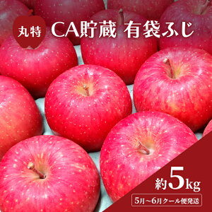 yӂ邳Ɣ[Łz5`6 N[֔ ۓ CA L܂ӂ  5kg ACXBOXN[  S ь ʕ t[c X@͂F2026N5{`2026N6{