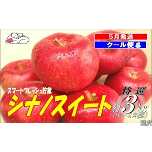 yӂ邳Ɣ[Łzy5N[ցzF pVimXC[g3kg X}[gtbV x13xyOOsY X ʕ t[c ʕ fU[g H  X̂ z@