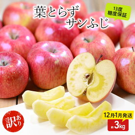 【ふるさと納税】りんご 【12月・1月発送】 蜜入り 糖度13度以上 訳あり品 家庭用 葉とらず サンふじ 約 3kg 【 青森りんご 】 果物 フルーツ 産地直送 糖度測定 褐変 チェック 贈り物 年末 挨拶　お届け：2026年12月1日頃～2026年12月25日、2027年1月5日頃～2027年1月15日