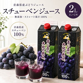 【ふるさと納税】ぶどうジュース 紙パック 1L × 2本入り 無添加 ストレート果汁 100% 【 スチューベンジュース 葡萄 青森県産 産地直送 1000ml 2本セット 】　お届け：2027年1月中旬頃から順次発送