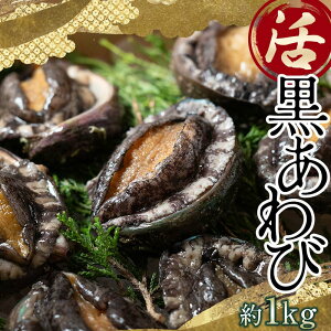 yӂ邳Ɣ[Łz VR hh  1kg y엧YzL CN ÌyC   Ar  Ar Ar  VR Yn CY L   X F6N-026