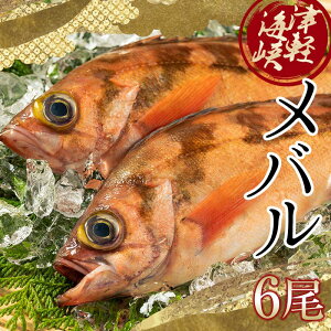 【ふるさと納税】小泊港水揚げ 津軽海峡メバル 姿6尾 ※下処理済み 【卓立水産】魚 海鮮 ウスメバル メバル めばる 津軽海峡 1尾 丸ごと 津軽海峡 高級 海産物 刺身 煮付け 中泊町 青森 F6N-027