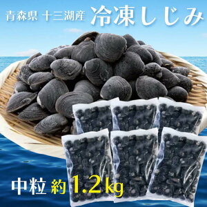 yӂ邳Ɣ[ŁzX \OΎY Ⓚ ij 1.2kg yzL   VW~ L L  Ⓚ    X F6N-093