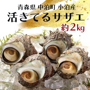 yӂ邳Ɣ[ŁzĂTUG 2kg y엧Yz VR L   h ڏĂ CN  L CY hg BBQ o[xL[   X F6N-094