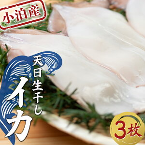 yӂ邳Ɣ[Łz Y VCJ Iׂe 2^3 y̗Yiz CJ G  X XCJ ܂ CN   CY BBQ `h Ⓚ  X