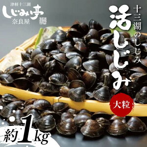 yӂ邳Ɣ[Łz \O΂̂  嗱 1kg yޗǉz  VW~ L L Ij` \O F6N-161
