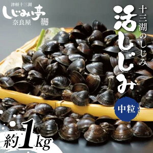 yӂ邳Ɣ[Łz \O΂̂   1kg yޗǉz  VW~ L L Ij` \O F6N-162