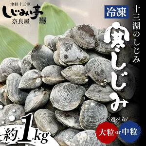 yӂ邳Ɣ[ŁzIׂTCY/ \O΂̂ Ⓚ  嗱E 1kg yޗǉz  VW~ L L Ij` \O F6N-163var