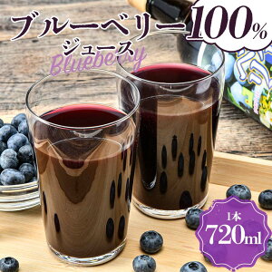 【ふるさと納税】 ブルーベリー100%ジュース 1本(720ml) 【中泊町特産物直売所ピュア】 中里 小泊 中泊 青森 F6N-215