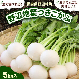 yӂ邳Ɣ[ŁzŐHׂ!܂ŊۂƔ!Ӓnt(5kg)yzsnFEꌧEBzy1542452z