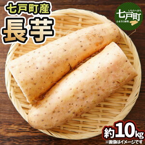 yӂ邳Ɣ[ŁzˎY  10kg yR Ȃ Ƃ  т̂ S wV[  VN  X ˒ 퉷 蕨 Ε ~ Mtgzy02402-0055z