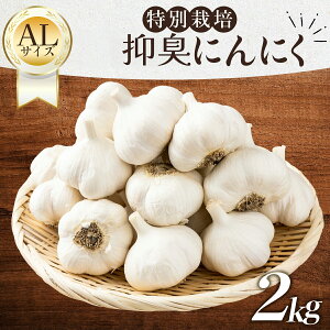 yӂ邳Ɣ[Łz}Lɂɂ ALTCY2kgyY ɂɂ Ai ALTCY VN  ۑ N 蕨 Mtg k X ˒ zy02402-0320z