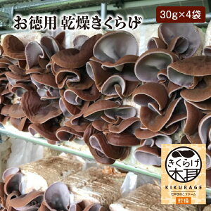 �y�ӂ邳�Ɣ[�Łz���������炰�i30g�j×4�� ���̂� �L�N���Q �؎� �H�i ������ ��� �X�� ���˒��@�y02402-0427�z