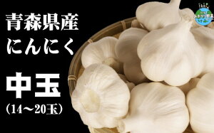 yӂ邳Ɣ[ŁzJ]05@XYɂɂʁ@14ʁ`20ʁi1kgj