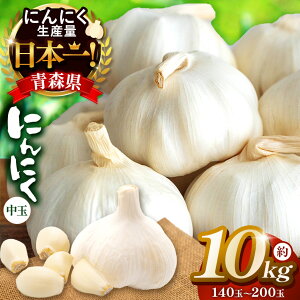 yӂ邳Ɣ[Łz XY ɂɂ  140 ` 200 i  10kg j| jjN e ǂ  Ղ  Y Yn    K[bN XpCX Aq[W  