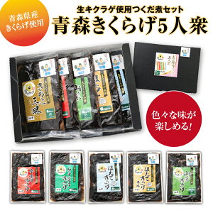 yӂ邳Ɣ[ŁzuX炰5lOv@LNQgpσZbg